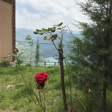 Kuveyt Holiday home